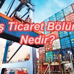 Dış Ticaret Bölümü Nedir?