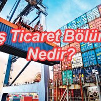 Dış Ticaret Bölümü Nedir?