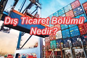 Dış Ticaret Bölümü Nedir?